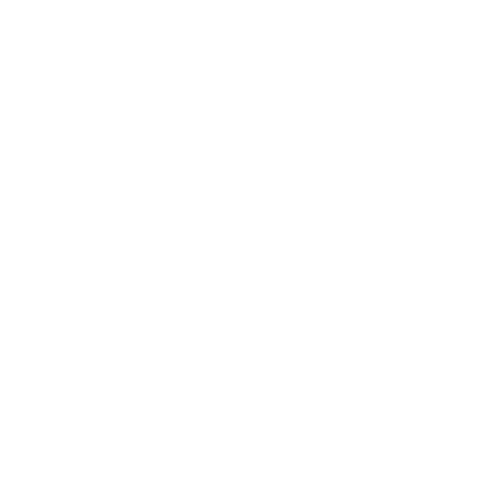 Willnyou store logo
